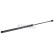 Gas pressure spring, Thumbnail 2