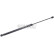 Gas pressure spring, Thumbnail 2
