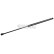 Gas pressure spring