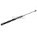 Gas pressure spring, Thumbnail 2
