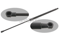 Gas pressure spring