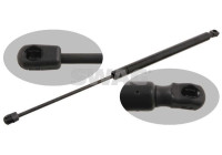 Gas pressure spring