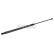 Gas pressure spring, Thumbnail 2