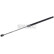 Gas pressure spring