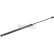 Gas pressure spring, Thumbnail 2