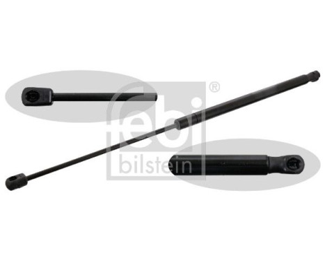 gas spring 48695 FEBI, Image 2