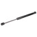 Gas Spring, bonnet 103852 FEBI