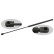 Gas Spring, bonnet 24713 FEBI