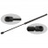 Gas Spring, bonnet 27598 FEBI