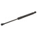 Gas Spring, bonnet 29433 FEBI