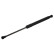 Gas Spring, bonnet 36960 FEBI