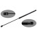 Gas Spring, bonnet 47045 FEBI