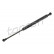 Gas Spring, bonnet 501 286 Topran, Thumbnail 2