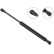 Gas Spring, bonnet //  LIFT-O-MAT® 570519 Stabilus