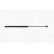Gas Spring, bonnet ML5349 Monroe, Thumbnail 2