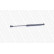 Gas Spring, bonnet ML6004 Monroe, Thumbnail 6