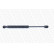 Gas Spring, bonnet ML6136 Monroe