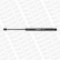 Gas Spring, bonnet ML6426 Monroe
