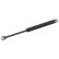 Gas Spring, boot-/cargo area 01785 FEBI