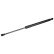 Gas Spring, boot-/cargo area 106031 FEBI