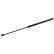 Gas Spring, boot-/cargo area 175322 FEBI