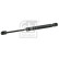 Gas Spring, boot-/cargo area 23378 FEBI, Thumbnail 2