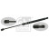 Gas Spring, boot-/cargo area 27674 FEBI, Thumbnail 2