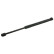 Gas Spring, boot-/cargo area 27744 FEBI