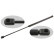 Gas Spring, boot-/cargo area 31084 FEBI
