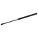 Gas Spring, boot-/cargo area 33060 FEBI