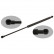 Gas Spring, boot-/cargo area 34417 FEBI