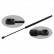 Gas Spring, boot-/cargo area 34431 FEBI