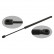 Gas Spring, boot-/cargo area 34442 FEBI