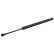Gas Spring, boot-/cargo area 34505 FEBI