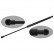 Gas Spring, boot-/cargo area 38281 FEBI