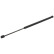 Gas Spring, boot-/cargo area 40647 FEBI
