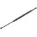 Gas Spring, boot-/cargo area 701 589 Topran, Thumbnail 2