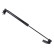 Gas Spring, boot-/cargo area ADM55816 Blue Print