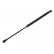 Gas Spring, boot-/cargo area GS0486 Magneti Marelli
