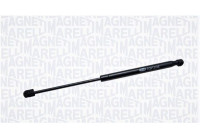 Gas Spring, boot-/cargo area GS0973 Magneti Marelli