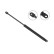 Gas Spring, boot-/cargo area //  LIFT-O-MAT® 0123EE Stabilus