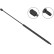 Gas Spring, boot-/cargo area //  LIFT-O-MAT® 291919 Stabilus