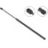Gas Spring, boot-/cargo area //  LIFT-O-MAT® 8982NG Stabilus