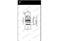Gas Spring, boot-/cargo area ML5043 Monroe