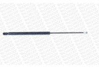 Gas Spring, boot-/cargo area ML5774 Monroe