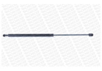 Gas Spring, boot-/cargo area ML5781 Monroe