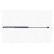 Gas Spring, boot-/cargo area ML6070 Monroe