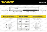 Gas Spring, boot-/cargo area ML6220 Monroe