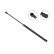 Gas spring, hood 016738 Stabilus