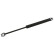 gas spring, hood 08850 FEBI